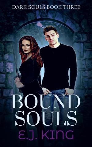 Book cover of Bound Souls