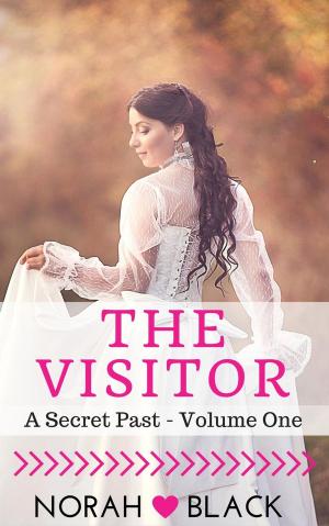 Book cover of The Visitor (A Secret Past - Volume One)