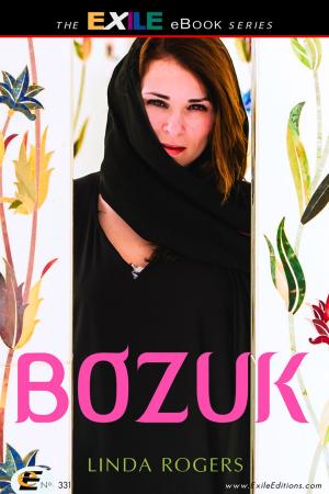 Cover of the book Bozuk by Marilyn Bowering