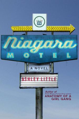 Book cover of Niagara Motel