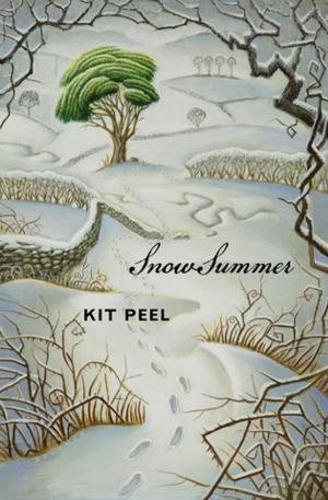Cover of the book Snow Summer by K.T. Ivanrest