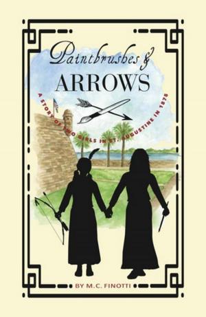Cover of the book Paintbrushes and Arrows by Elinor De Wire