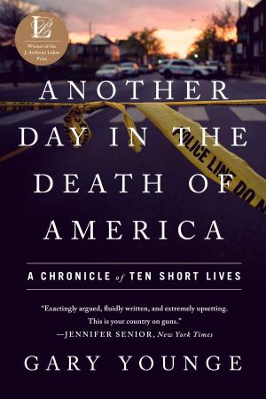 Cover of the book Another Day in the Death of America by Christian Wolmar