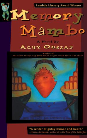 Cover of the book Memory Mambo by Jon Ginoli