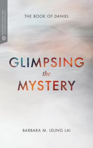 Cover of the book Glimpsing the Mystery by R. Douglas Geivett, Holly Pivec