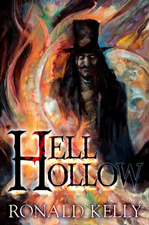 Cover of the book Hell Hollow by John R. Little