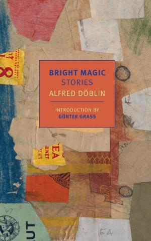 Cover of the book Bright Magic by Mavis Gallant