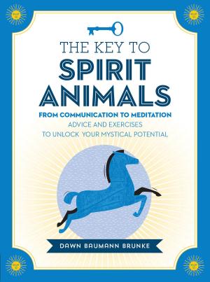 bigCover of the book The Key to Spirit Animals by 