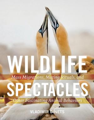 Cover of the book Wildlife Spectacles by Linden Hawthorne