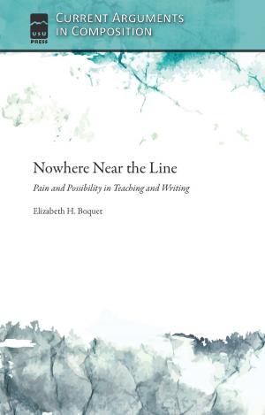 Cover of the book Nowhere Near the Line by Stephen C Norton