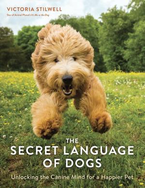 Cover of the book The Secret Language of Dogs by Brett Droege