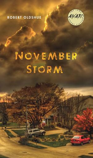 bigCover of the book November Storm by 