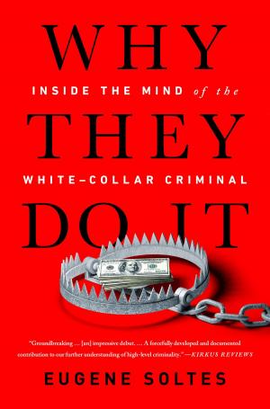 Cover of the book Why They Do It by Philip Coggan, The Economist