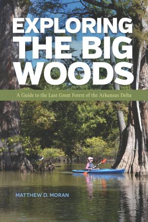 Cover of the book Exploring the Big Woods by Gordon G. Wittenberg, Charles Witsell