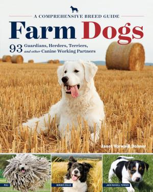 Cover of the book Farm Dogs by Ann Larkin Hansen