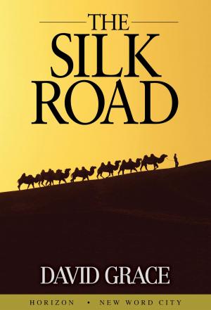 Cover of the book The Silk Road by C. David North