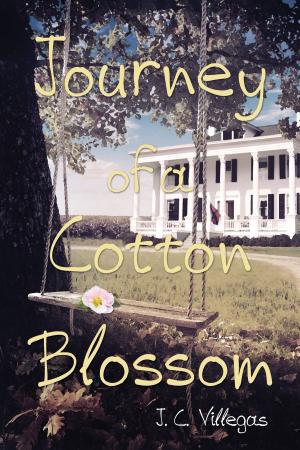 Book cover of Journey of a Cotton Blossom