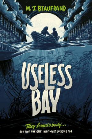 Cover of the book Useless Bay by Lawrence Weschler, Cris Scorza