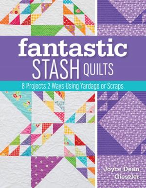 Cover of the book Fantastic Stash Quilts by Barbara Brackman, Karla Menaugh