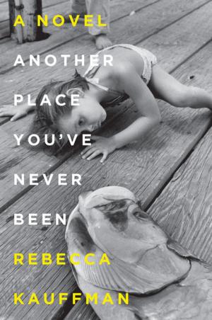 Cover of the book Another Place You've Never Been by Julie Farrell