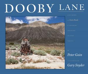 Cover of the book Dooby Lane by Geoffrey O'Brien