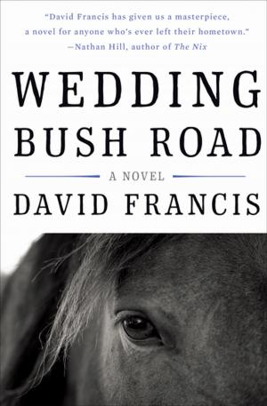 Cover of the book Wedding Bush Road by Hiromi Kawakami