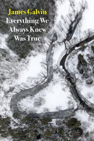 Cover of the book Everything We Always Knew Was True by James Richardson