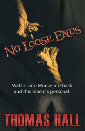 Cover of the book No Loose Ends by R.J. Poliquin