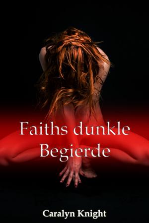 Cover of the book Faiths dunkle Begierde by Jerry Roth