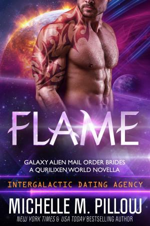 Cover of the book Flame: A Qurilixen World Novella by Mary Ann Mitchell