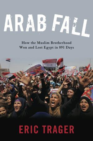 Cover of the book Arab Fall by John M. Lipski