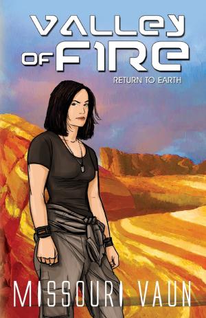 Cover of the book Valley of Fire by Julie Cannon