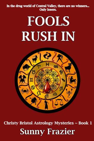 Cover of the book Fools Rush In by Judith Blevins