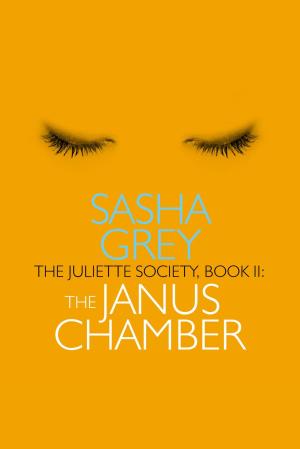 bigCover of the book The Juliette Society, Book II by 