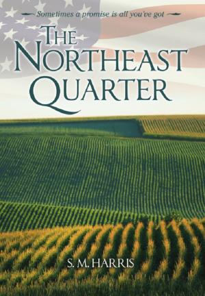 Cover of the book The Northeast Quarter by Duke Southard