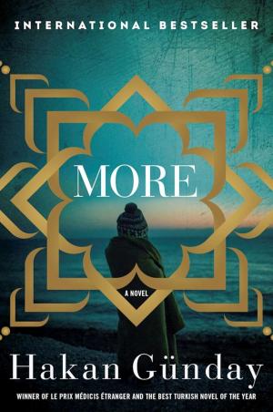 Cover of the book More by Tom Phelan