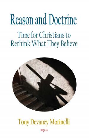 Cover of the book Reason and Doctrine by Arthur E.  Palumbo, Jr.