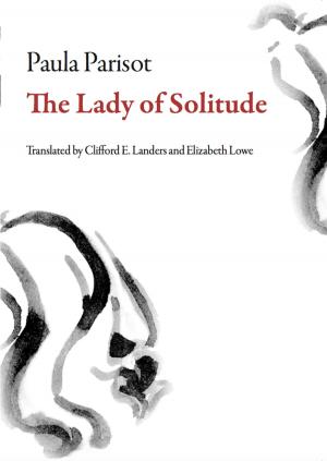 Cover of the book The Lady of Solitude by Yitzhak Orpaz