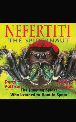 Cover of the book Nefertiti, the spidernaut by Darcy Pattison