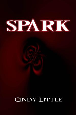 Cover of the book Spark by Elizabeth Seckman