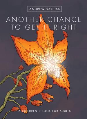 Cover of the book Another Chance to Get It Right (2016 Edition) by Mike Mignola