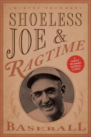 Book cover of Shoeless Joe and Ragtime Baseball