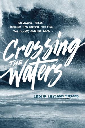 Book cover of Crossing the Waters