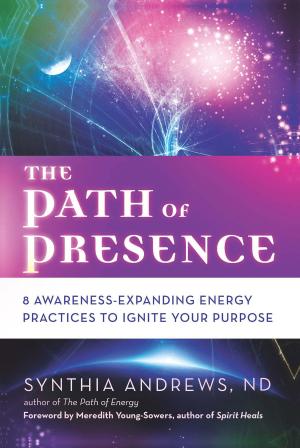 bigCover of the book The Path of Presence by 