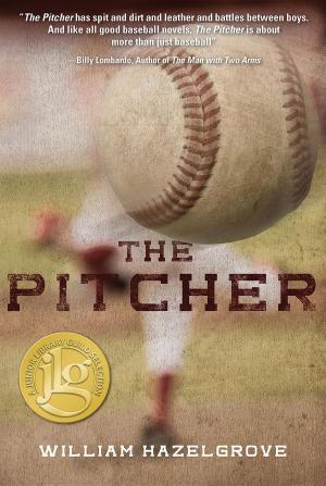 Cover of the book The Pitcher by Michael David Ries