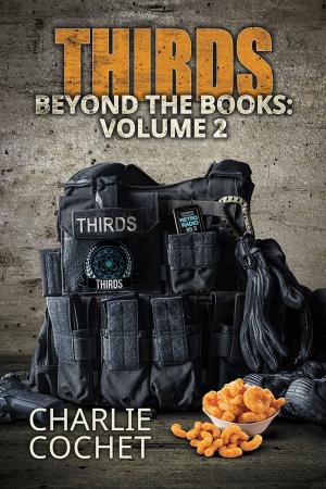 Cover of the book THIRDS Beyond the Books Volume 2 by Ferro Gabro