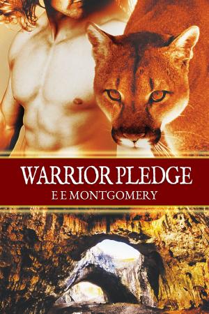 Cover of the book Warrior Pledge by Deborah A. Bailey