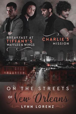 Cover of the book On the Streets of New Orleans by Mary Calmes