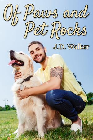 Cover of the book Of Paws and Pet Rocks by R.W. Clinger
