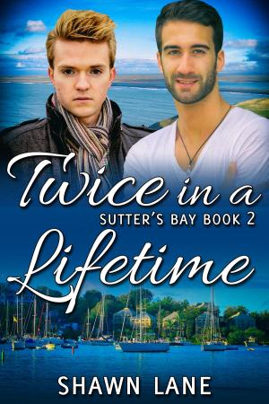 Cover of the book Twice in a Lifetime by J.M. Snyder